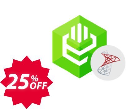 ODBC Driver for SQL Server Coupon code 25% discount 