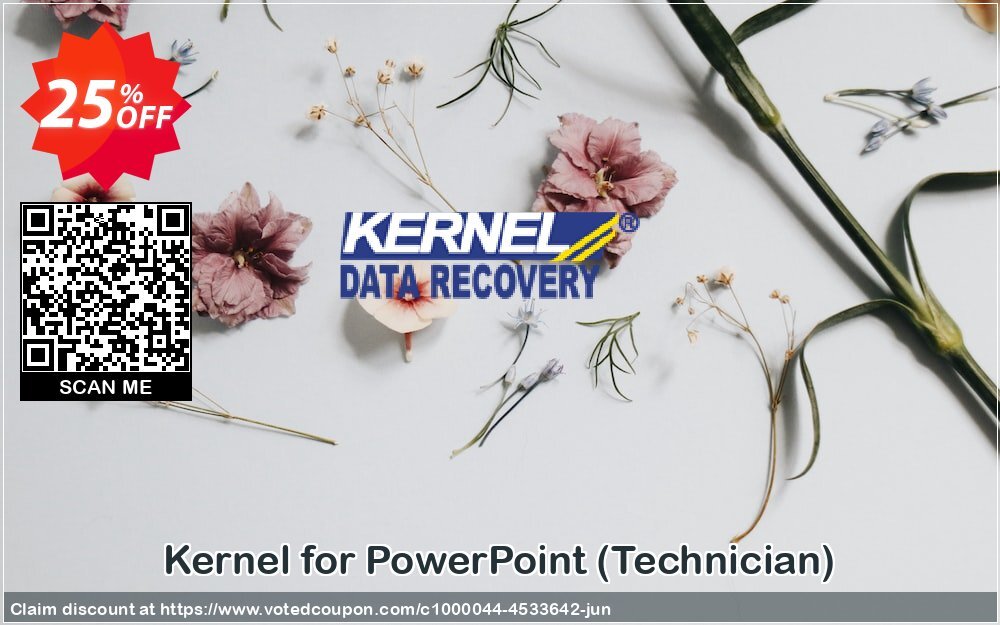 Kernel for PowerPoint, Technician  Coupon Code Jun 2024, 25% OFF - VotedCoupon