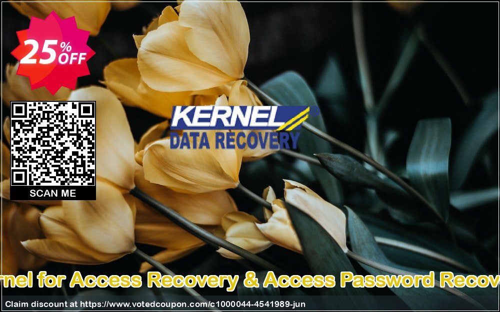 Kernel for Access Recovery & Access Password Recovery Coupon Code Jun 2024, 25% OFF - VotedCoupon