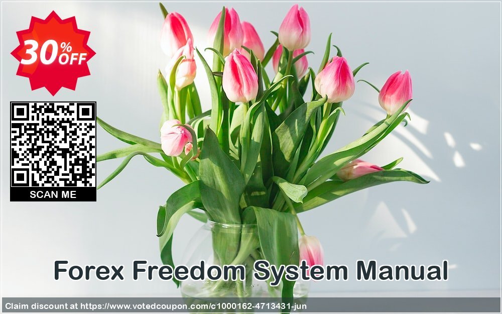 Forex Freedom System Manual