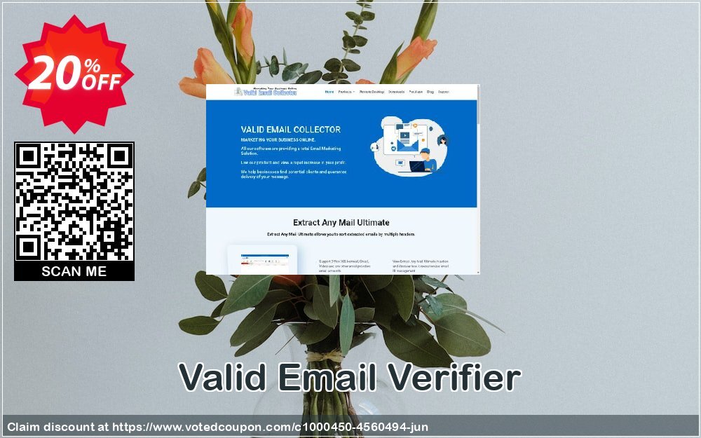 Valid Email Verifier