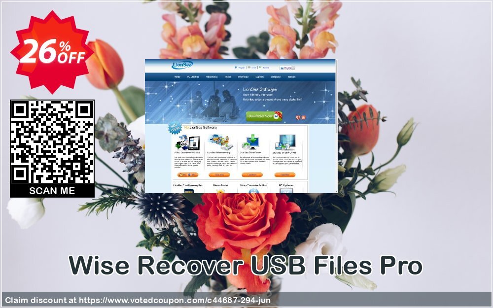 Wise Recover USB Files Pro